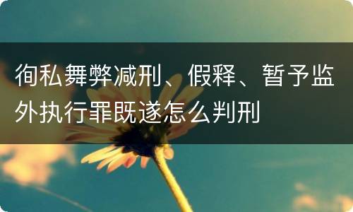徇私舞弊减刑、假释、暂予监外执行罪既遂怎么判刑