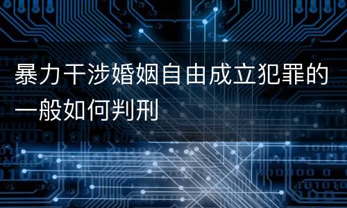 暴力干涉婚姻自由成立犯罪的一般如何判刑