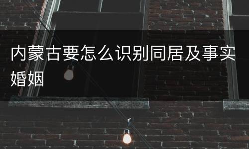 内蒙古要怎么识别同居及事实婚姻