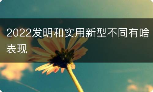 2022发明和实用新型不同有啥表现