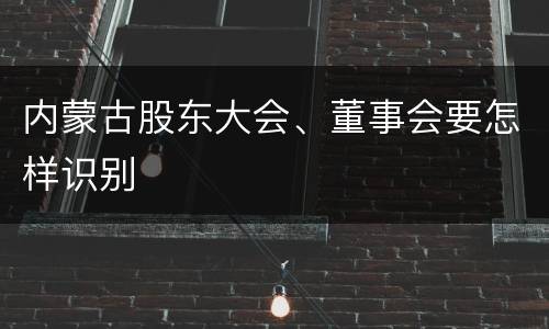 内蒙古股东大会、董事会要怎样识别