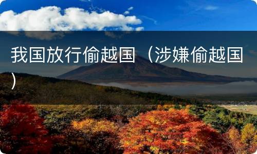 我国放行偷越国（涉嫌偷越国）