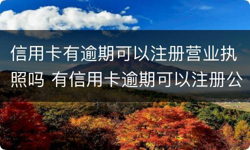 信用卡有逾期可以注册营业执照吗 有信用卡逾期可以注册公司吗