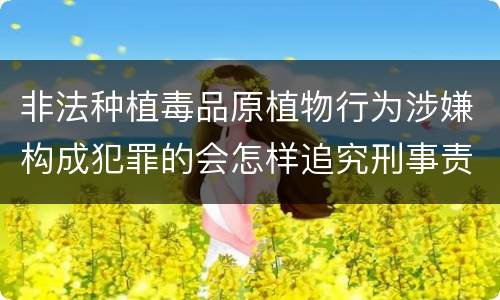 非法种植毒品原植物行为涉嫌构成犯罪的会怎样追究刑事责任
