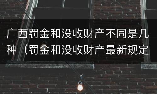 广西罚金和没收财产不同是几种（罚金和没收财产最新规定）