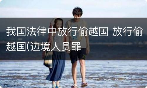 我国法律中放行偷越国 放行偷越国(边境人员罪