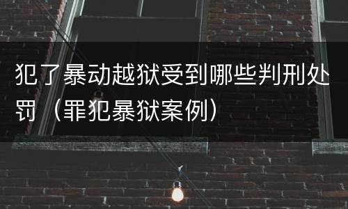 犯了暴动越狱受到哪些判刑处罚（罪犯暴狱案例）