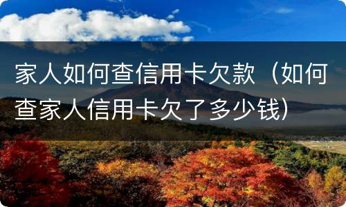 家人如何查信用卡欠款（如何查家人信用卡欠了多少钱）