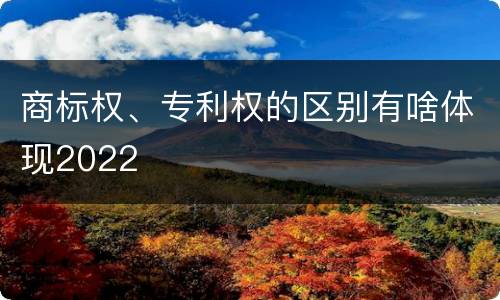 商标权、专利权的区别有啥体现2022