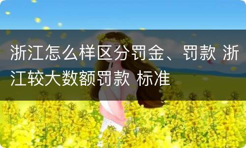 浙江怎么样区分罚金、罚款 浙江较大数额罚款 标准