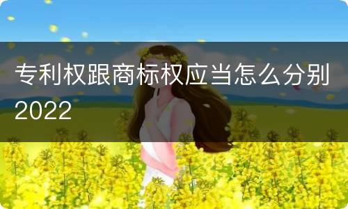 专利权跟商标权应当怎么分别2022