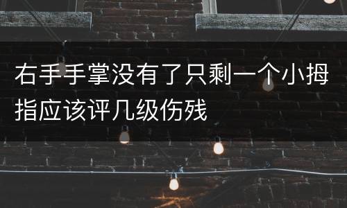 右手手掌没有了只剩一个小拇指应该评几级伤残