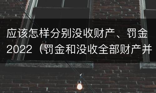 应该怎样分别没收财产、罚金2022（罚金和没收全部财产并罚）
