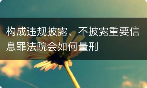 构成违规披露、不披露重要信息罪法院会如何量刑
