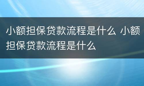 小额担保贷款流程是什么 小额担保贷款流程是什么