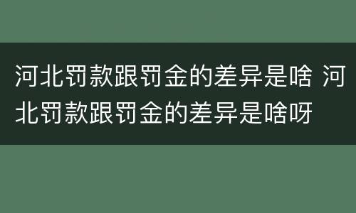 河北罚款跟罚金的差异是啥 河北罚款跟罚金的差异是啥呀