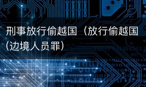 刑事放行偷越国（放行偷越国(边境人员罪）