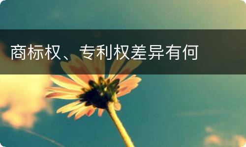 商标权、专利权差异有何