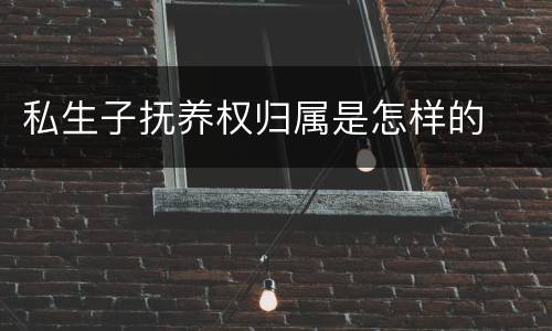 私生子抚养权归属是怎样的