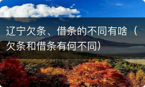 辽宁欠条、借条的不同有啥（欠条和借条有何不同）