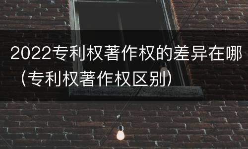 2022专利权著作权的差异在哪（专利权著作权区别）