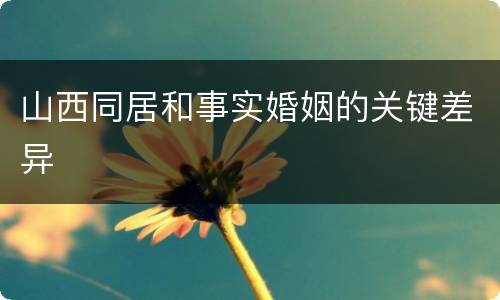 山西同居和事实婚姻的关键差异