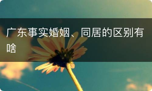 广东事实婚姻、同居的区别有啥