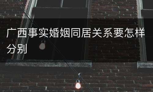 广西事实婚姻同居关系要怎样分别