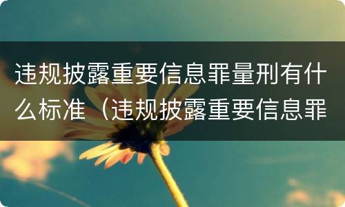 违规披露重要信息罪量刑有什么标准（违规披露重要信息罪量刑有什么标准吗）