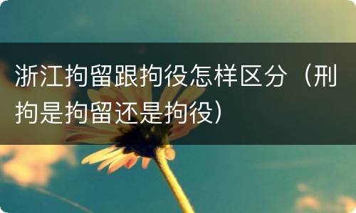 浙江拘留跟拘役怎样区分(刑拘是拘留还是拘役)