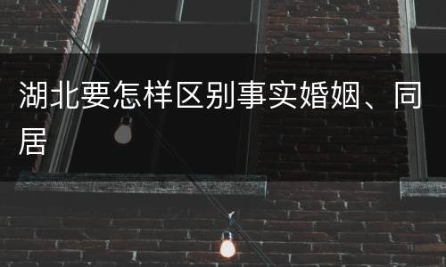湖北要怎样区别事实婚姻、同居