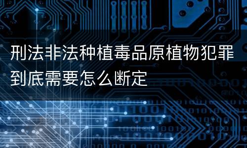 刑法非法种植毒品原植物犯罪到底需要怎么断定