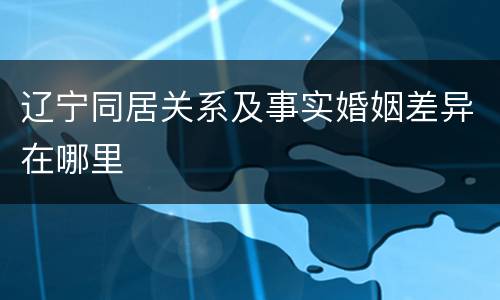 辽宁同居关系及事实婚姻差异在哪里