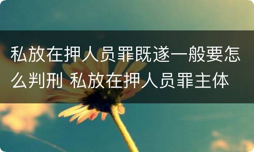 私放在押人员罪既遂一般要怎么判刑 私放在押人员罪主体
