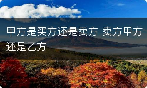 甲方是买方还是卖方 卖方甲方还是乙方