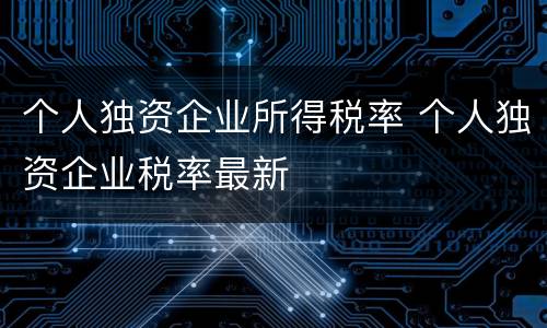 个人独资企业所得税率 个人独资企业税率最新