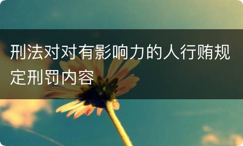 刑法对对有影响力的人行贿规定刑罚内容