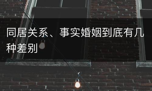 同居关系、事实婚姻到底有几种差别