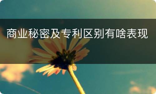 商业秘密及专利区别有啥表现
