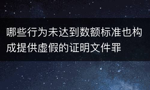 哪些行为未达到数额标准也构成提供虚假的证明文件罪