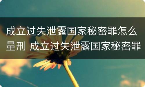成立过失泄露国家秘密罪怎么量刑 成立过失泄露国家秘密罪怎么量刑的