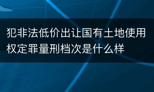 犯非法低价出让国有土地使用权定罪量刑档次是什么样