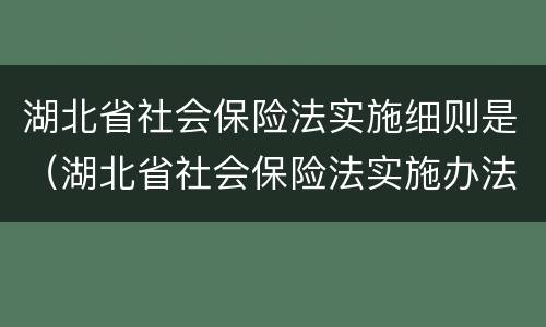 湖北省社会保险法实施细则是（湖北省社会保险法实施办法）