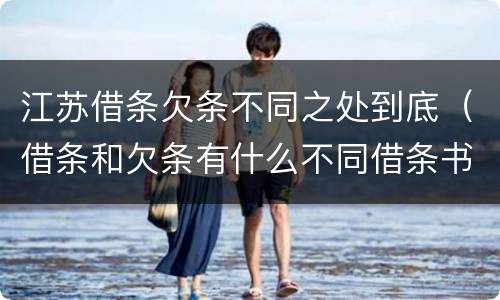 江苏借条欠条不同之处到底（借条和欠条有什么不同借条书写）