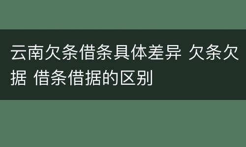 云南欠条借条具体差异 欠条欠据 借条借据的区别