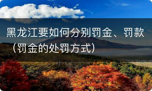 黑龙江要如何分别罚金、罚款（罚金的处罚方式）