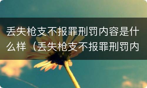 丢失枪支不报罪刑罚内容是什么样（丢失枪支不报罪刑罚内容是什么样的）