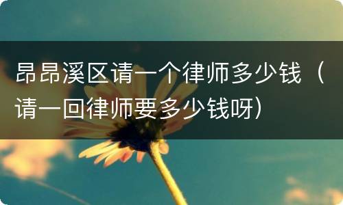 昂昂溪区请一个律师多少钱（请一回律师要多少钱呀）