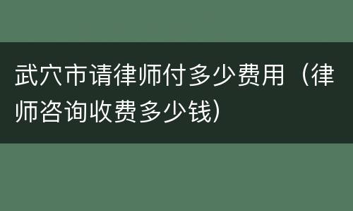 武穴市请律师付多少费用（律师咨询收费多少钱）