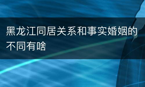 黑龙江同居关系和事实婚姻的不同有啥